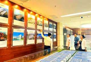 辽宁水性多彩乳液价格