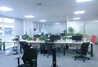 盐城办公室绿植租赁图片