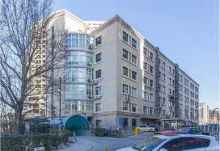 重庆专业除甲醛产品